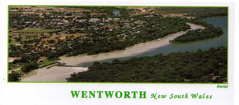 The Darling is white